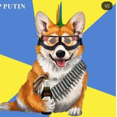 Європейське Запоріжжя's profile picture