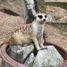 G-G profil fotoğrafı