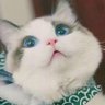 。。's profile picture