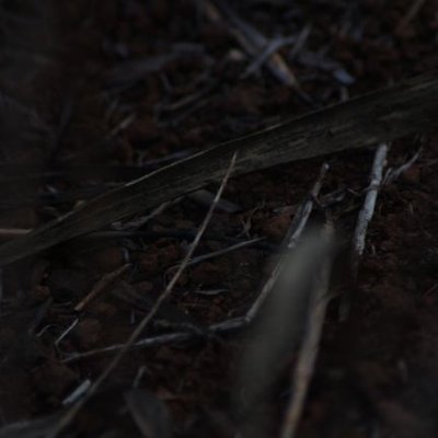 Melda56912116's profile picture