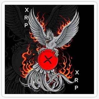 XRP DRAGON๐๐ฅ's profile picture