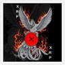 Profilbild von XRP DRAGON🐉🔥
