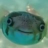 Profilbild von äºå¯åž¯ã®æ¹ã«ããŸã