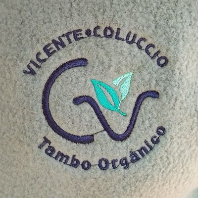 Vicente Coluccio's profile picture