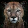Profilbild von AMMS