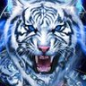Trungtin Tu's profile picture