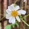 Фото профиля ไม่ได้ชอบเอาชนะ แต่ทำไมต้องแพ้