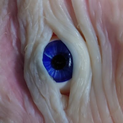 KUGUTSU's profile picture