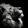 ſɐɹoɯɐS's profile picture