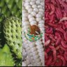 Фото профиля Miguel Ortiz