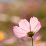 Фото профиля およよ