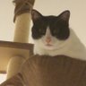 Profilbild von Tomo
