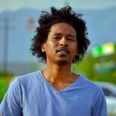 licayodo's profile picture