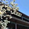 股市人生,步步为赢 profil fotoğrafı