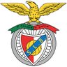 Toy das Transferências para tótós.'s profile picture