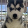 よっちゃん profil fotoğrafı