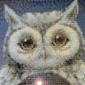 CMS48 ๐ด๓ ง๓ ข๓ ณ๓ ฃ๓ ด๓ ฟ #sonhs's profile picture