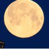 Anwohnerparken.'s profile picture