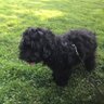 Andy Cohen ☮️'s profile picture