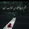 الصقر المهاجر's profile picture