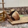 スーパーフライ 的头像
