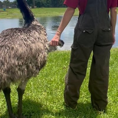 hiitaylorblake's profile picture