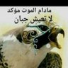 عمار اليماني's profile picture