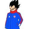 Profilbild von Vegeta Tatengue