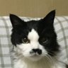 マミ坊's profile picture