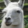 Name's profile picture