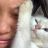 :c 的头像