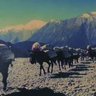 अन्जान profil fotoğrafı