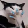 laya โ profil fotoฤrafฤฑ