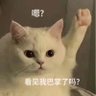 羽花时 profil fotoğrafı