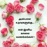 D Nagenthiran D Nagenthiran's profile picture