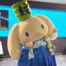 超级坚果🌰's profile picture