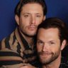 Amy Boo-Bells! SPNBoston25 ❤️👬💙's profile picture