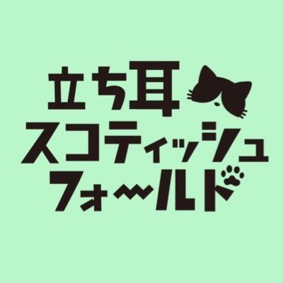 tachimimisuco's profile picture
