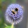 Фото профиля Amanda McEgan