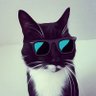 Profilbild von son1C