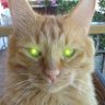Mortog profil fotoğrafı