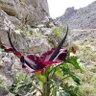 abusaleh profil fotoğrafı