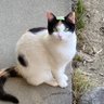 てぃー profil fotoğrafı