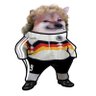 Profilbild von Koslowsky