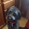 Quinn profil fotoğrafı