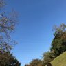 シャロン_'s profile picture