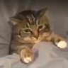 Profilbild von DylanGarxd
