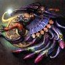 Xiao (蕭)'s profile picture