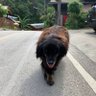 Happy man 的头像