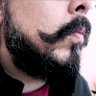 Profilbild von thememits